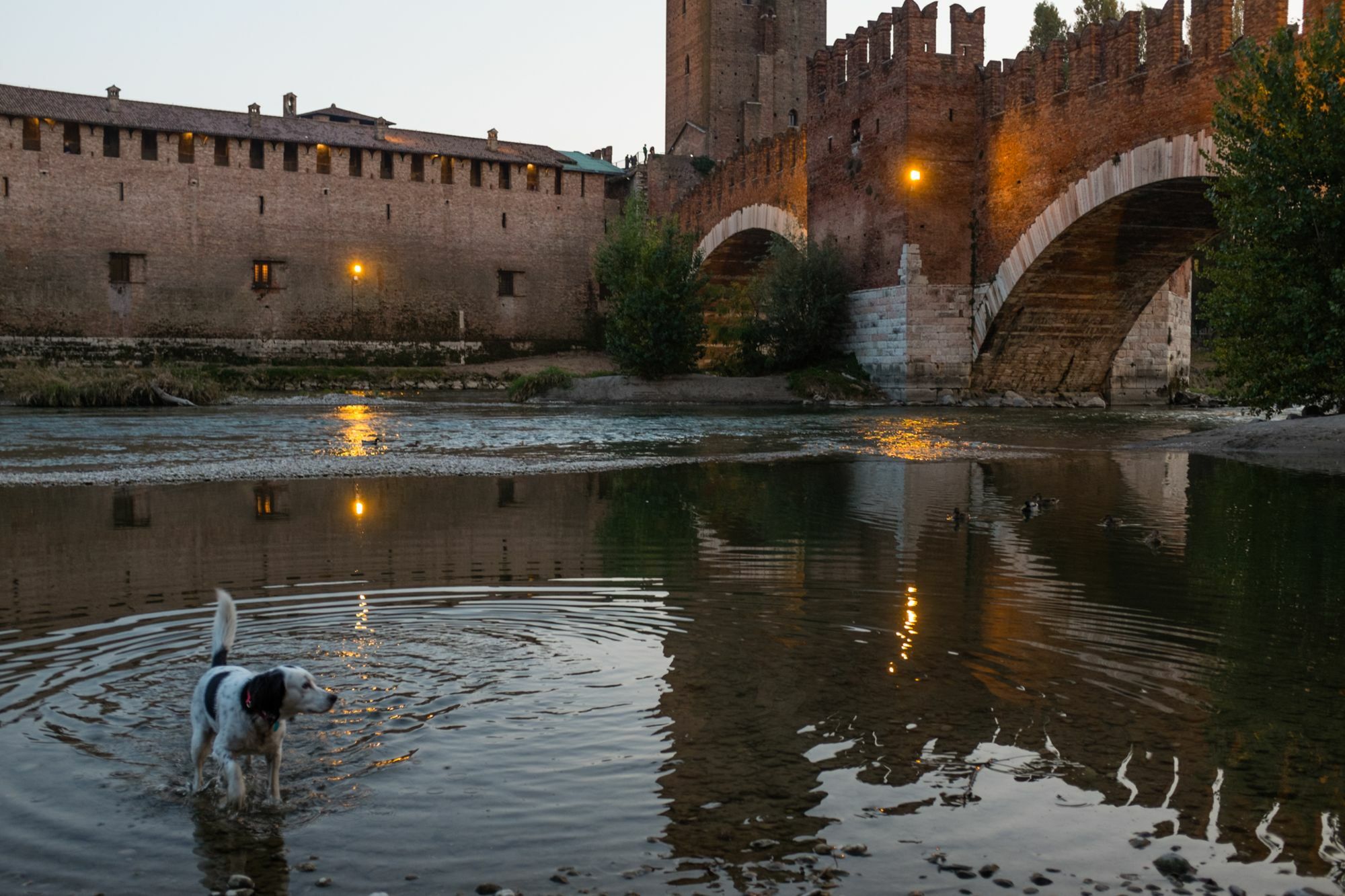 Residenza Roccaforte Scaligera Verona Exterior foto